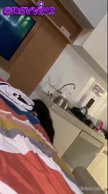 vid terbaru