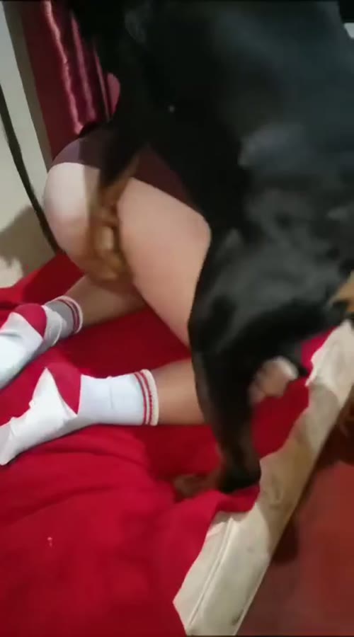 vid terbaru