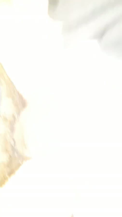 vid terbaru