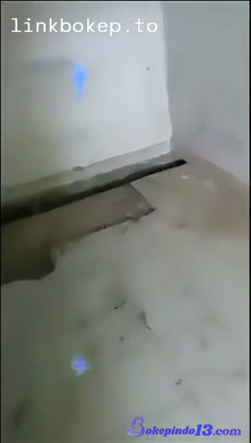 vid terbaru