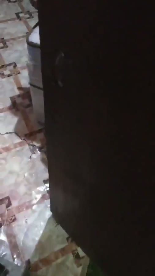 vid terbaru