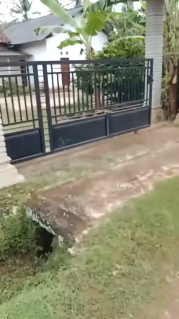 Ampun pak De