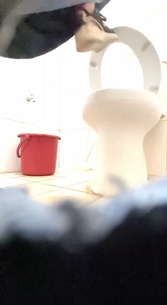 vid terbaru